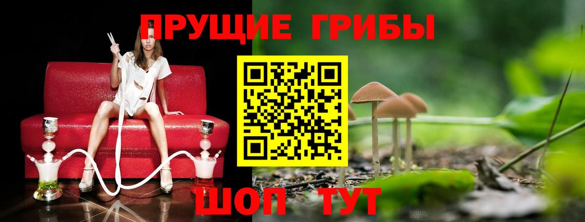 Белово  Псилоцибиновые грибы Magic Shrooms  Вход с VPN 
